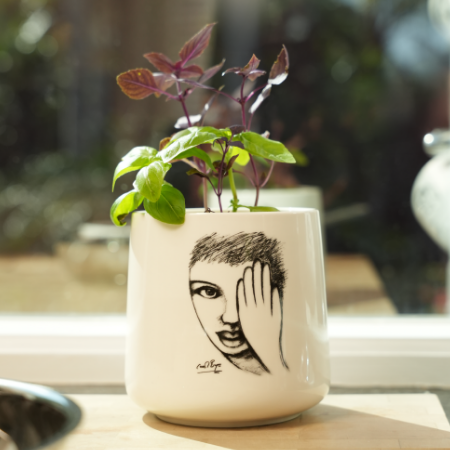 20% Off Sketchbook Canisters