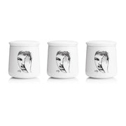 Canister Set Of 3 - Eye For Detail