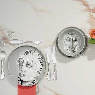 DINNERWARE 12pc SET - succulent faces