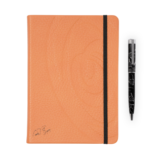 NOTEBOOK SET - revolution sahara