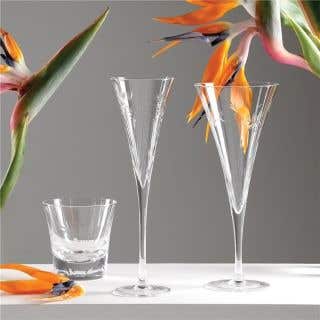 CHAMPAGNE FLUTE SET OF 4 - strelitzia