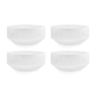 BOWL SET OF 4 - discussion