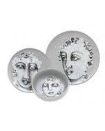 DINNERWARE 12pc SET - succulent faces