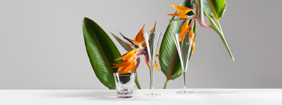 Glassware banner featuring different types of glasses